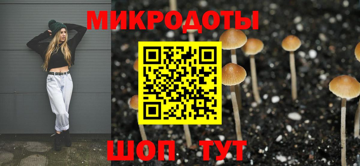 Псилоцибиновые грибы Psilocybe  Псилоцибиновые грибы прущие грибы  Кировск  Вход с VPN 